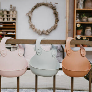 BIBS - Bavetica pentru diversificare si hranire, Cloud