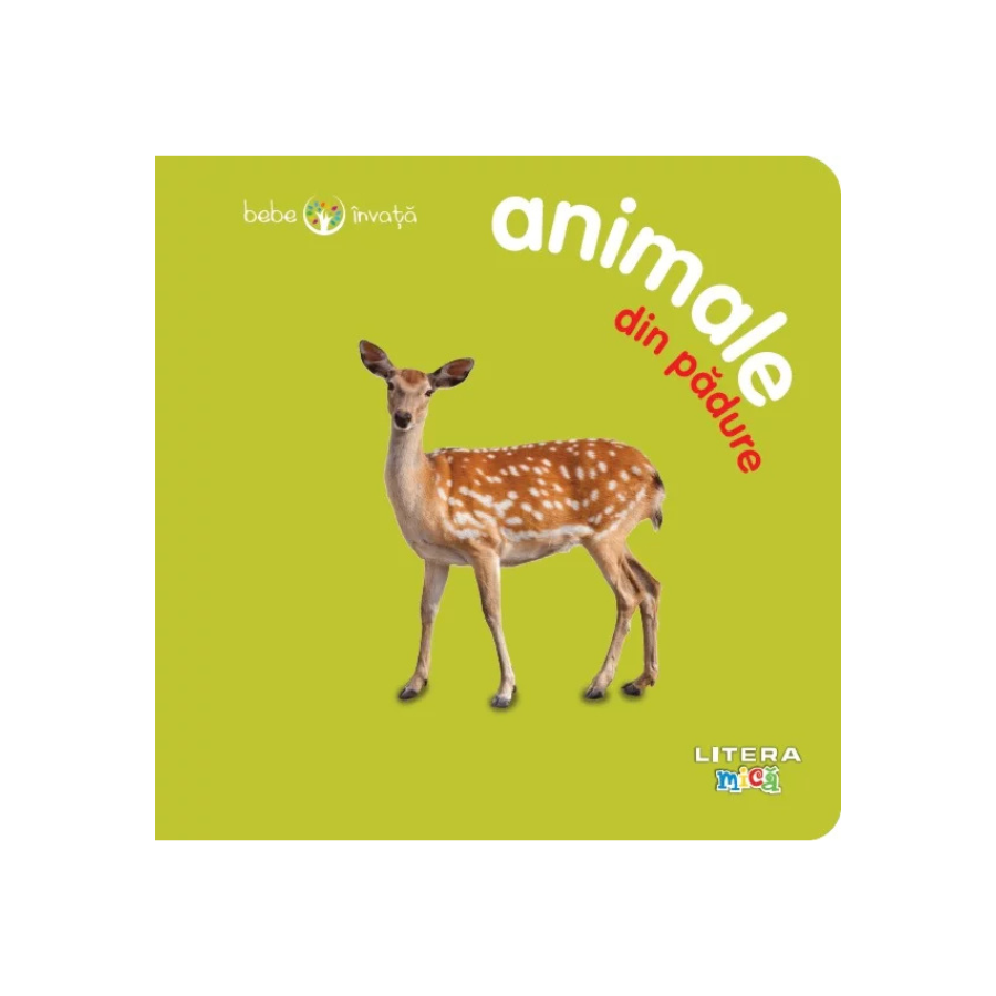 Bebe Invata Animale din Padure