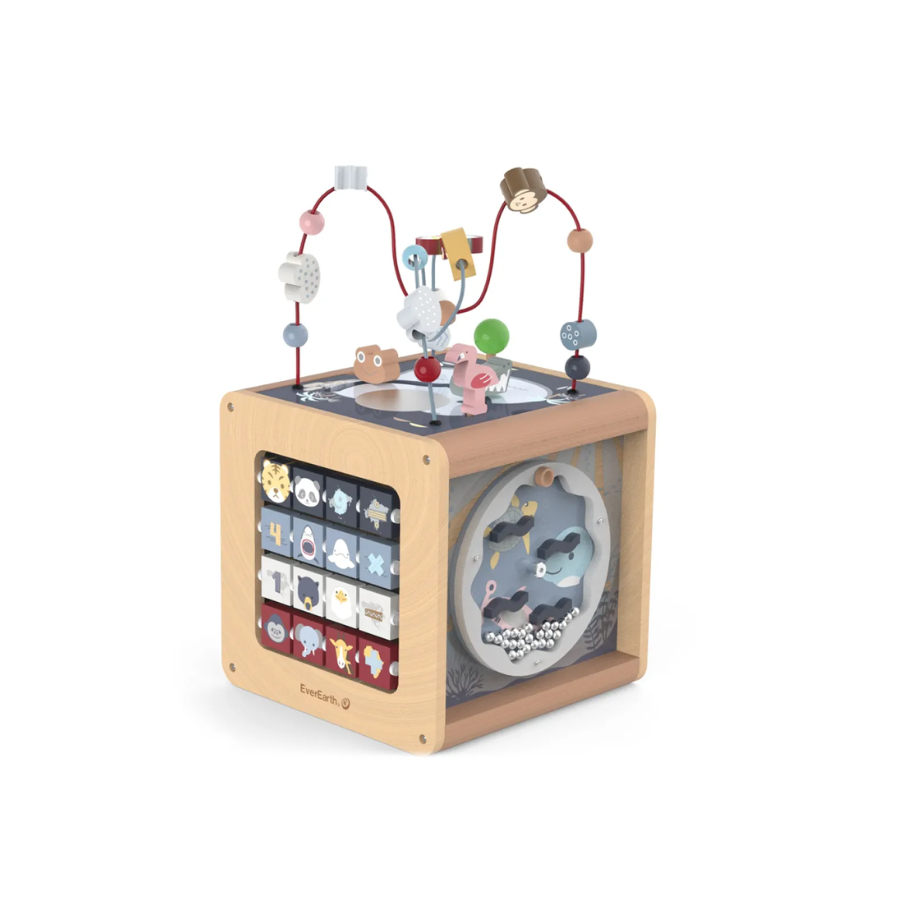 Cub de joaca educativ