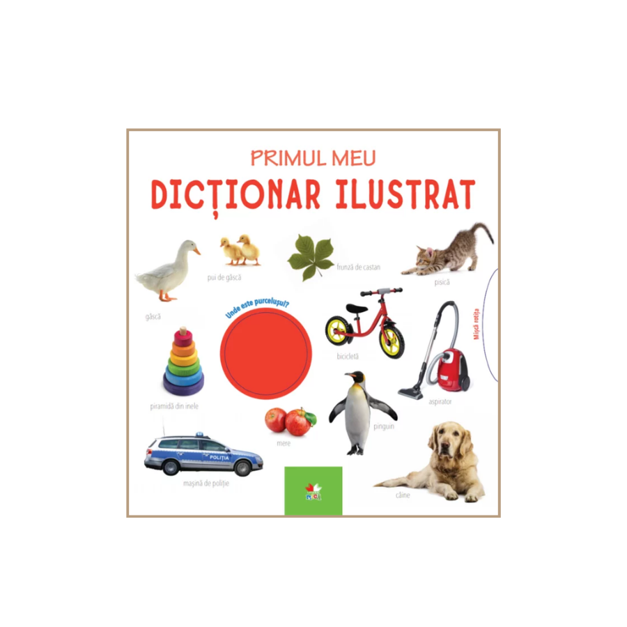 Primul meu dictionar ilustrat
